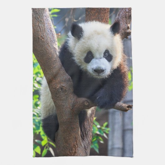 Linge De Cuisine Animaux de bébés cutest | Géant Panda Cub (Vertical)
