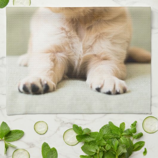 Linge De Cuisine Animaux de bébés cutest | Golden Retriever Puppy (Plié)