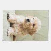 Linge De Cuisine Animaux de bébés cutest | Golden Retriever Puppy (Horizontal)