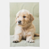 Linge De Cuisine Animaux de bébés cutest | Golden Retriever Puppy (Vertical)