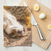 Linge De Cuisine Animaux de bébés cutest | Meerkats joueurs (Quart Plié)