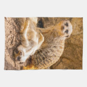 Linge De Cuisine Animaux de bébés cutest | Meerkats joueurs (Horizontal)