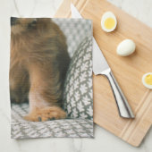 Linge De Cuisine Animaux de bébés cutest | Norfolk Terrier Puppy (Quart Plié)