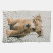 Linge De Cuisine Animaux de bébés cutest | Norfolk Terrier Puppy (Horizontal)