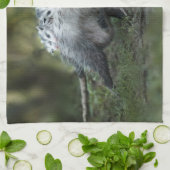 Linge De Cuisine Animaux de bébés cutest | Opossum Maman & Kids (Plié)