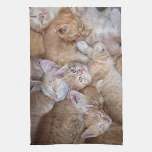 Linge De Cuisine Animaux de bébés cutest   Orange Kitten Pile