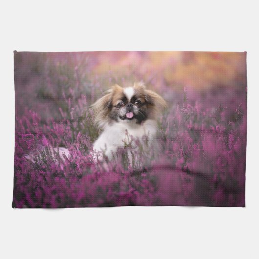 Linge De Cuisine Animaux de bébés cutest | Pekingese Puppy (Horizontal)