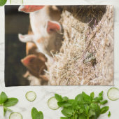 Linge De Cuisine Animaux de bébés cutest | Piglet bébé mignon (Plié)