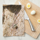 Linge De Cuisine Animaux de bébés cutest | Piglet bébé mignon (Quart Plié)