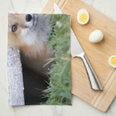 Linge De Cuisine Animaux de bébés cutest | Red Fox Kit Peeking (Quart Plié)