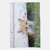 Linge De Cuisine Animaux de bébés cutest | Red Fox Kit Peeking (Vertical)