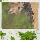 Linge De Cuisine Animaux de bébés cutest | Red Fox Pup (Plié)