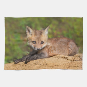 Linge De Cuisine Animaux de bébés cutest Red Fox Pup