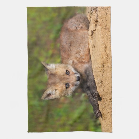Linge De Cuisine Animaux de bébés cutest | Red Fox Pup (Vertical)