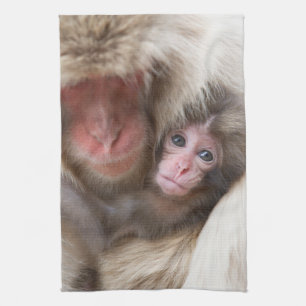 Linge De Cuisine Animaux de bébés cutest   Singe des neiges