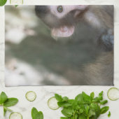 Linge De Cuisine Animaux de bébés cutest | Singe des neiges surpris (Plié)