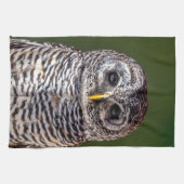 Linge De Cuisine Animaux de bébés cutest | Tawny Owl (Horizontal)