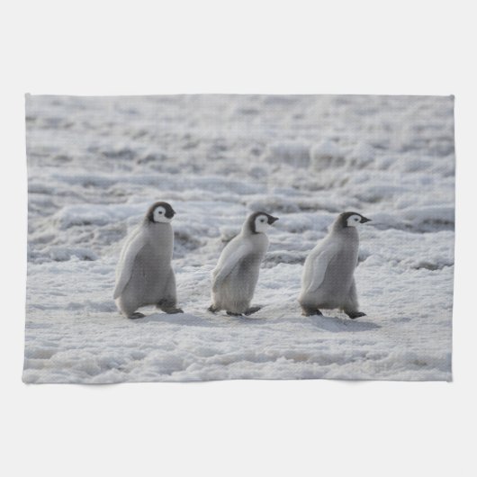 Linge De Cuisine Animaux de bébés cutest | Trois Épouses Penguin Em (Horizontal)