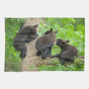 Linge De Cuisine Animaux de bébés cutest   Trois jeunes petits ours