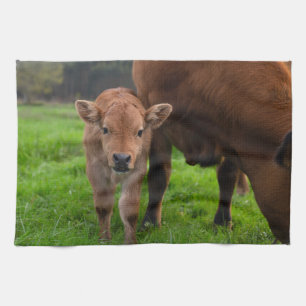 Linge De Cuisine Animaux de bébés cutest Vache et veau