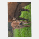 Linge De Cuisine Animaux de bébés cutest | Vache et veau (Vertical)