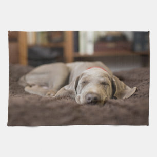 Linge De Cuisine Animaux de bébés cutest Weimaraner Puppy Sleepin