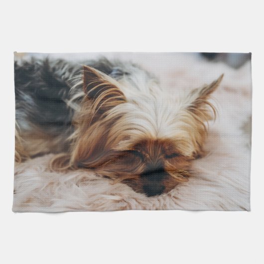 Linge De Cuisine Animaux de bébés cutest | Yorkshire Terrier (Horizontal)