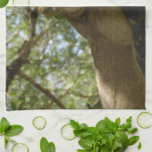 Linge De Cuisine Animaux > Sauvages > Chats > Lions (Plié)