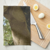 Linge De Cuisine Animaux > Sauvages > Chats > Lions (Quart Plié)