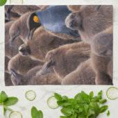 Linge De Cuisine Antarctique, île de Géorgie du Sud, manchots royau (Plié)