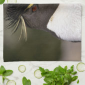 Linge De Cuisine Antarctique, îles sub-antarctiques, Sud 5 (Plié)