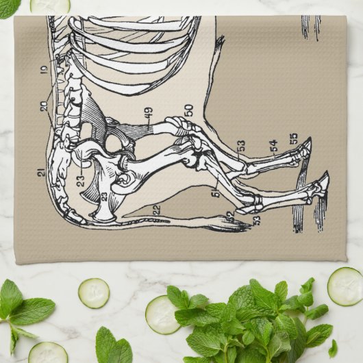 Linge De Cuisine Antique Cow Skeleton Bones (Plié)