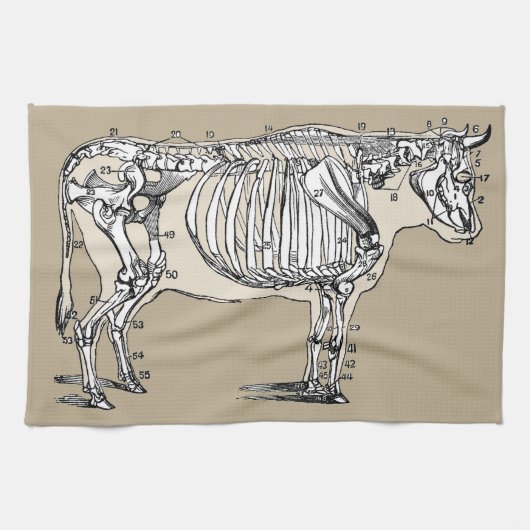Linge De Cuisine Antique Cow Skeleton Bones (Horizontal)