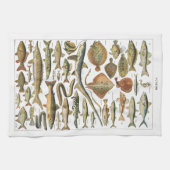Linge De Cuisine Antique fish chart Under-the-sea (Horizontal)