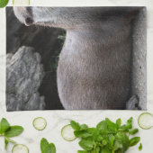 Linge De Cuisine Aonyx cinerea (Plié)