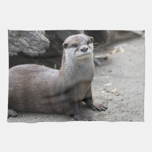 Linge De Cuisine Aonyx cinerea (Horizontal)