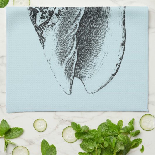 Linge De Cuisine Aqua Conch Shell (Plié)