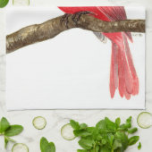 Linge De Cuisine Aquarelle cardinale (Plié)