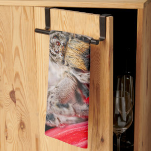Linge De Cuisine araignée minuscule