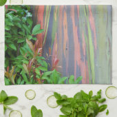 Linge De Cuisine Arbre à eucalyptus arc-en-ciel (Plié)