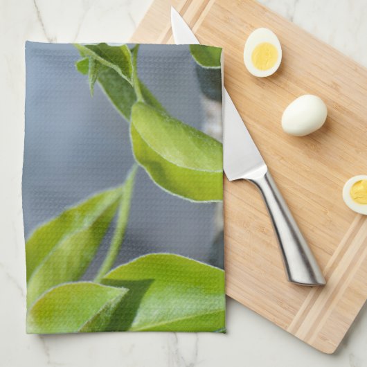 Linge De Cuisine Arbre à poires (Quart Plié)