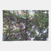 Linge De Cuisine Arbre Avocado (Horizontal)