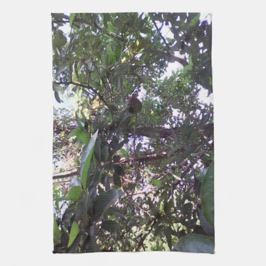 Linge De Cuisine Arbre Avocado (Vertical)