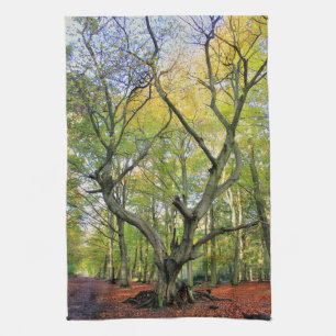 Linge De Cuisine Arbre Dans Les Bois