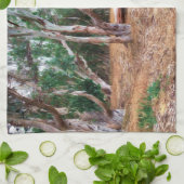 Linge De Cuisine Arbres (Plié)