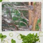 Linge De Cuisine Arbres (Plié)