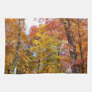 Linge De Cuisine Arbres d'automne orange et jaune Photographie d'au