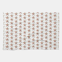 Arc-en-ciel d'étoiles de mer