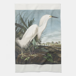 Linge De Cuisine Art Vintage d'Audubon sur l'Aigrette neigeuse, Gra