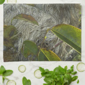 Linge De Cuisine Assigne vers le haut d'un arbre (Plié)